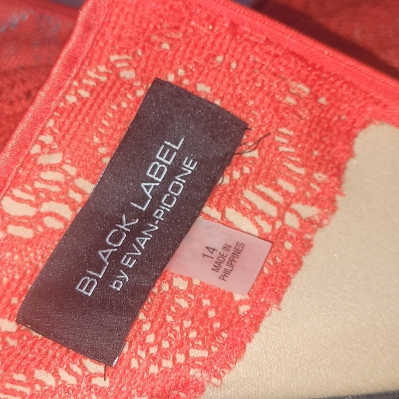 ❤️Evan Picone Women's Cap Sleeve  Lace Fit & Flare Dress - Tangerine Sz … - Picture 12 of 12